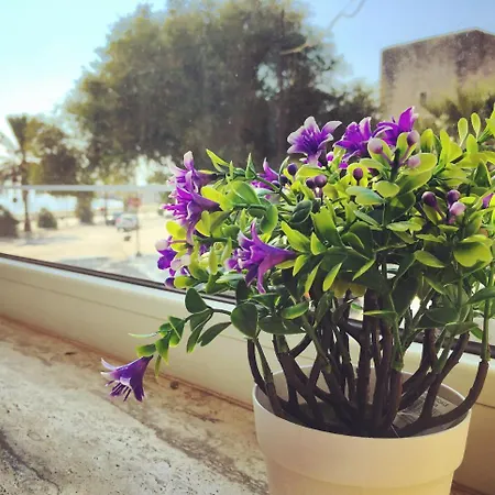 Domus Bianca Lancia Guest house